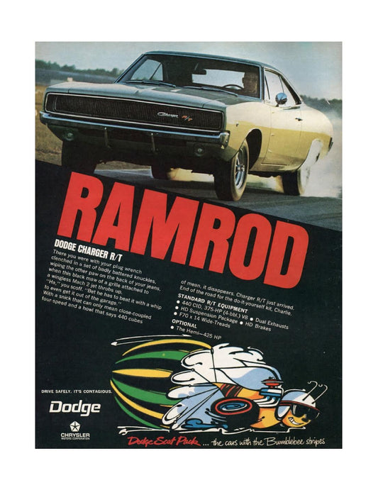 Dodge Charger Vinyl Poster