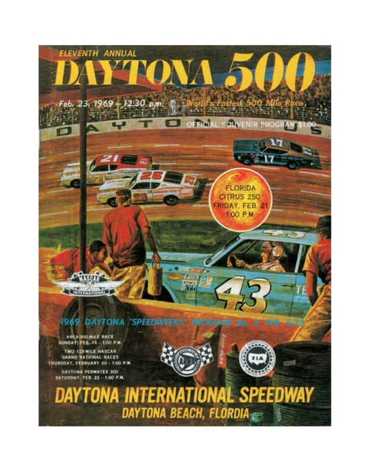 Daytona 500 Vinyl Poster